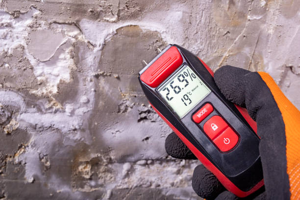 Best Mold Removal Near Me  in Roslyn Estates, NY