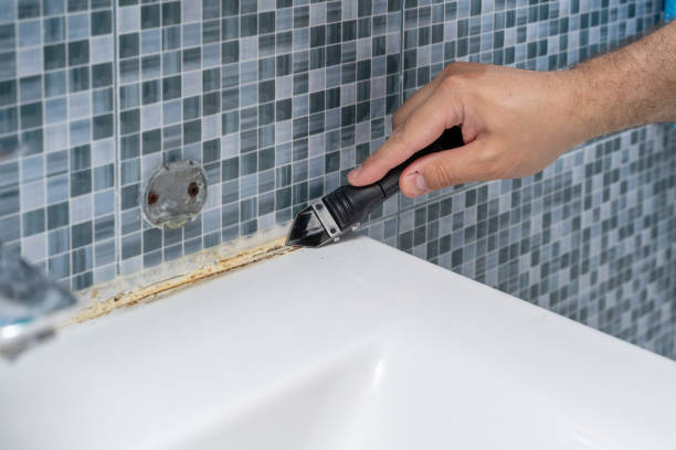 Best Office Mold Removal Services  in Roslyn Estates, NY