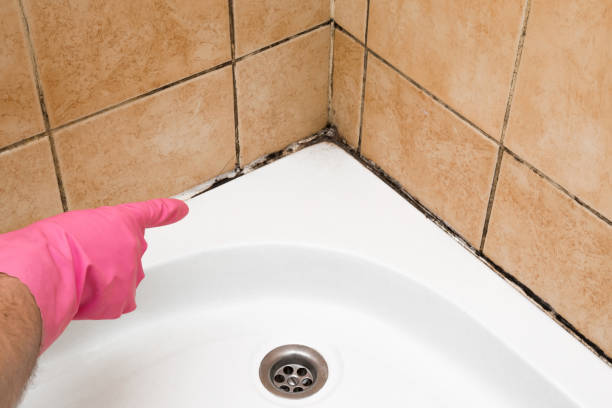 Best Certified Mold Removal  in Roslyn Estates, NY